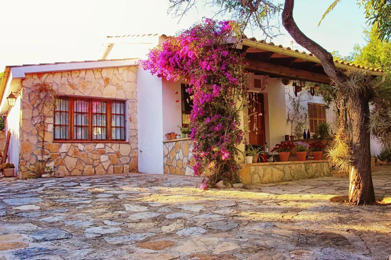 Дом отдыха Chalet Tres Mares, Cala Millor Сон-Сервера Испания